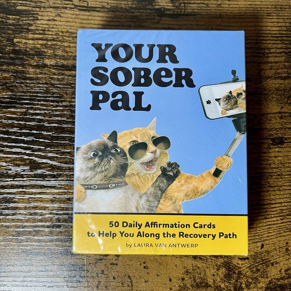 Your Sober Pal Affirmation Deck 50 Daily Affirmation Cards Brand New Sealed